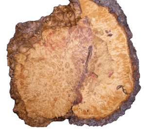 Burl_Slab